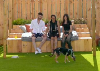 Audiencias TV: ‘Dog House’ (12,4%) manda en la noche del martes