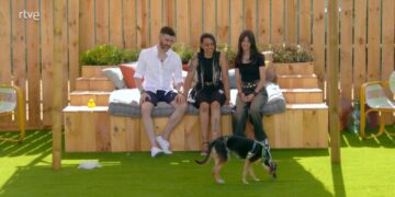 Audiencias TV: ‘Dog House’ (12,4%) manda en la noche del martes