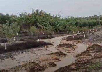 ¿Qué es lo que pasa con las parcelas afectadas por la DANA calificadas de Dominio Público Hidráulico?