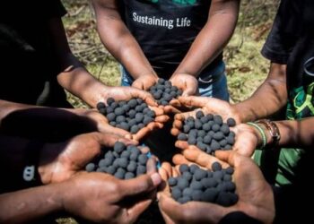 Seedballs Kenya: 56.835.000 bolas de semillas distribuidas desde septiembre de 2016