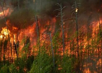 España en Fase de Preemergencia por incendios