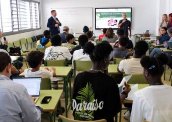 Eurodiputados sobre la migración en Canarias: “Toda autoridad debe superar los conflictos de competencias”