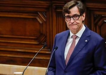 Retrato de una mosquILLA muerta