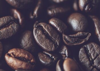 5 claves del éxito de Malongo como productor de café en grano natural