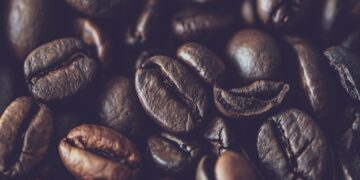 5 claves del éxito de Malongo como productor de café en grano natural