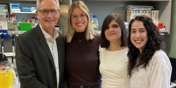 Investigadores españoles publican dos avances clave que mejoran la eficiencia de las terapias de edición génica en enfermedades de la sangre