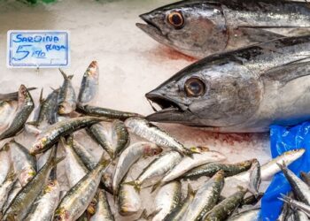 Cuando el pescado no da alergia: la intoxicación que se confunde con una reacción alérgica