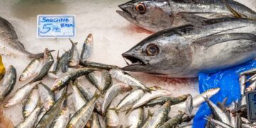 Cuando el pescado no da alergia: la intoxicación que se confunde con una reacción alérgica