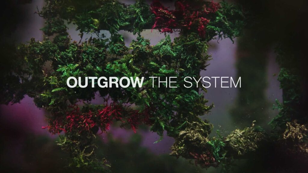 ortada repensar la economia