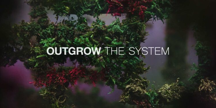 ortada repensar la economia