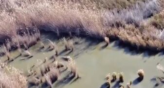 Juanfran Pérez Llorca retoma su agenda tras Fallas reivindicando el liderazgo hidráulico de la Comunitat Valenciana