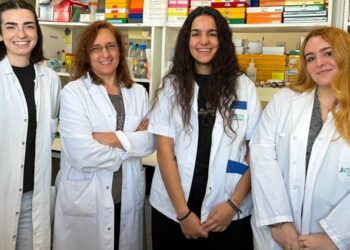 El IIS-FJD participa en un estudio que identifica un nuevo eje molecular regulador de la inflamación vascular en la diabetes