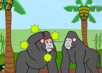 hantavirus monos