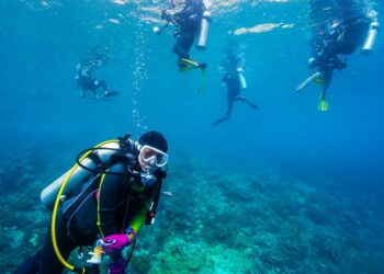 Buceo, running o pádel: cuándo conviene hacerse un estudio cardiovascular antes de empezar