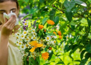 Especialistas alertan de una primavera alérgica más intensa y prolongada