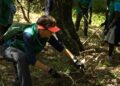 imagin pone en marcha una iniciativa innovadora para prevenir incendios en zonas de alto riesgo