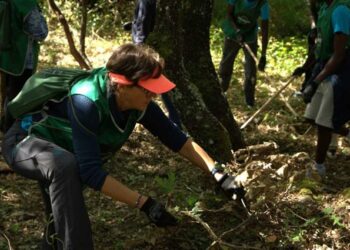 imagin pone en marcha una iniciativa innovadora para prevenir incendios en zonas de alto riesgo