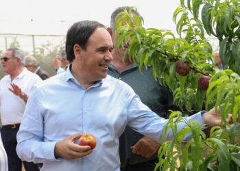Pérez Llorca anuncia la mayor convocatoria de ayudas para la modernización agraria de la Comunitat Valenciana