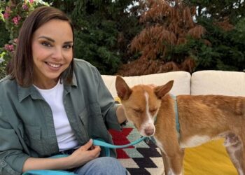 “Dog House” sigue triunfando y se impone en la noche del martes