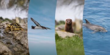 Fundación Endesa lanza su II convocatoria de ayudas a proyectos d biodiversidad