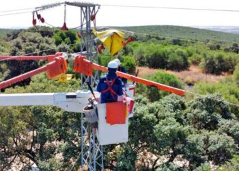 Endesa impulsa nuevas soluciones tecnológicas para reforzar la protección de la avifauna
