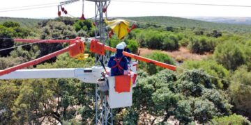 Endesa impulsa nuevas soluciones tecnológicas para reforzar la protección de la avifauna