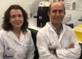 Un estudio identifica perfiles de inflamación en personas con VIH