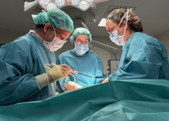 Las “otras” huellas del embarazo: piedras en la vesícula, hernias y hemorroides